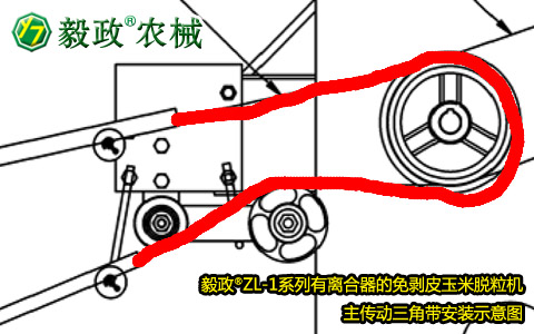 毅政牌ZL1系列有離合器的免剝皮玉米脫粒機(jī)，主傳動(dòng)三角帶正確安裝